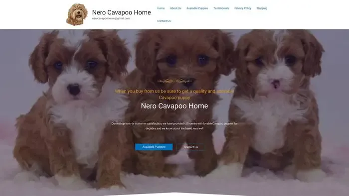 Screenshot of