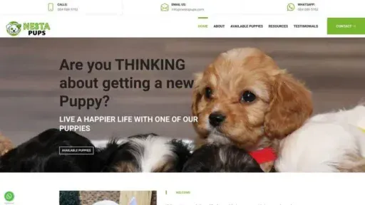 Screenshot of