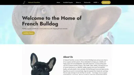 Screenshot of