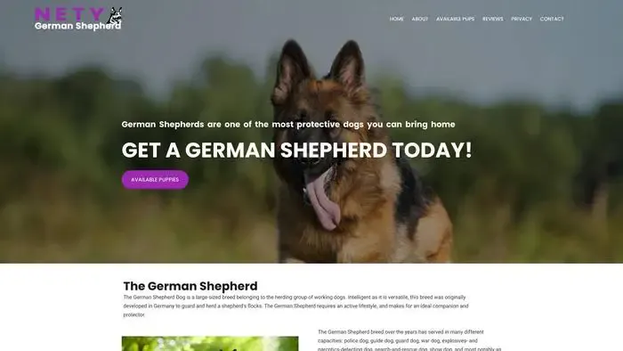 Screenshot of