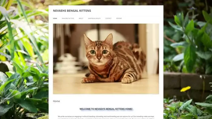 Screenshot of