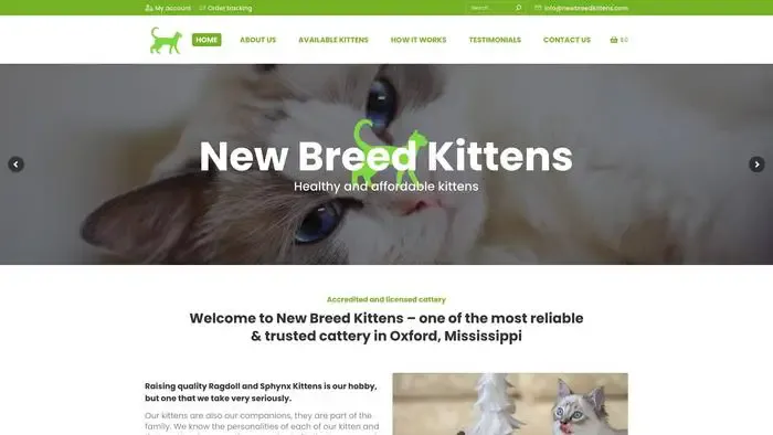 Screenshot of