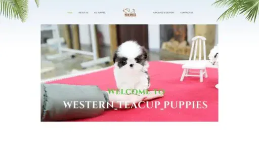 Screenshot of