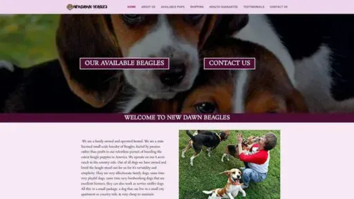 Screenshot of