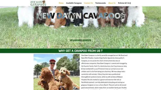 Screenshot of