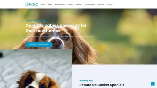 Screenshot of