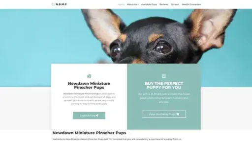 Screenshot of