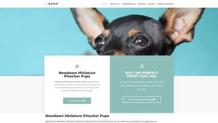 Screenshot of