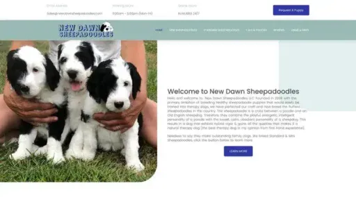 Screenshot of