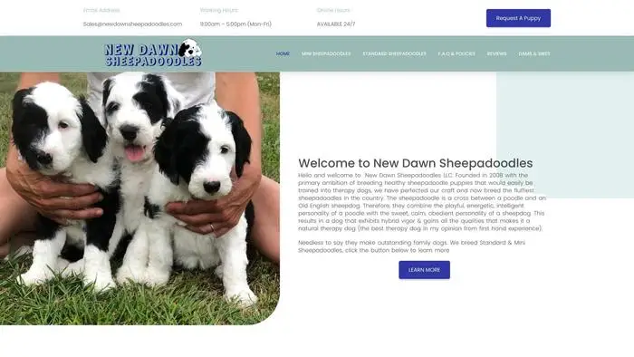 Screenshot of