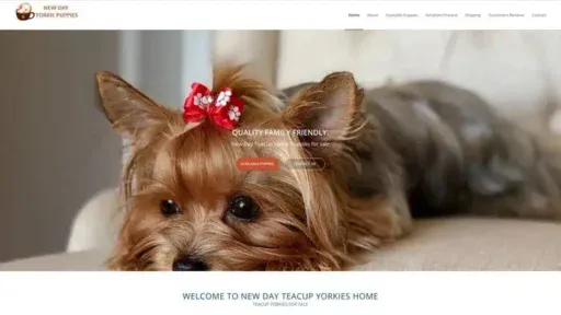 Screenshot of