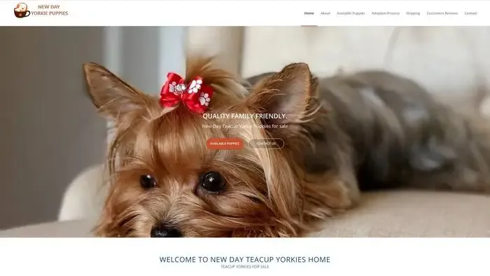 Screenshot of