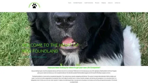 Screenshot of