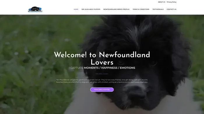 Screenshot of