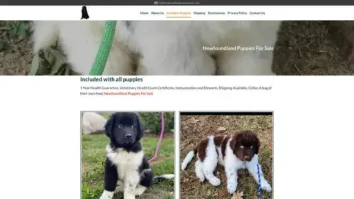 Screenshot of
