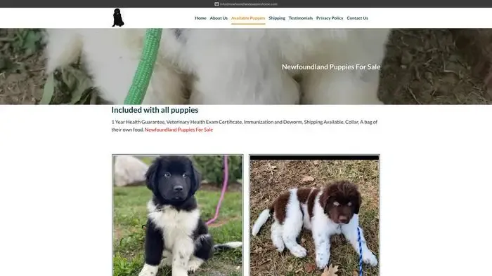 Screenshot of