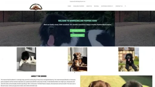 Screenshot of