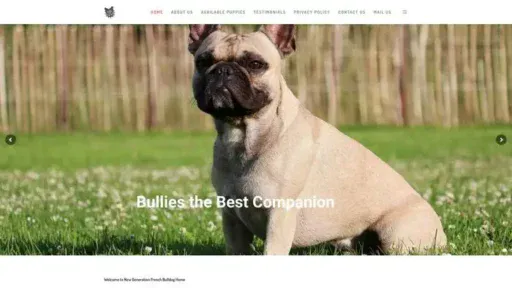 Screenshot of