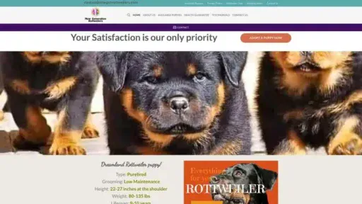 Screenshot of