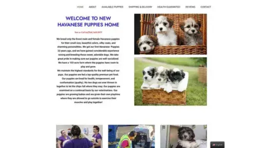 Screenshot of|