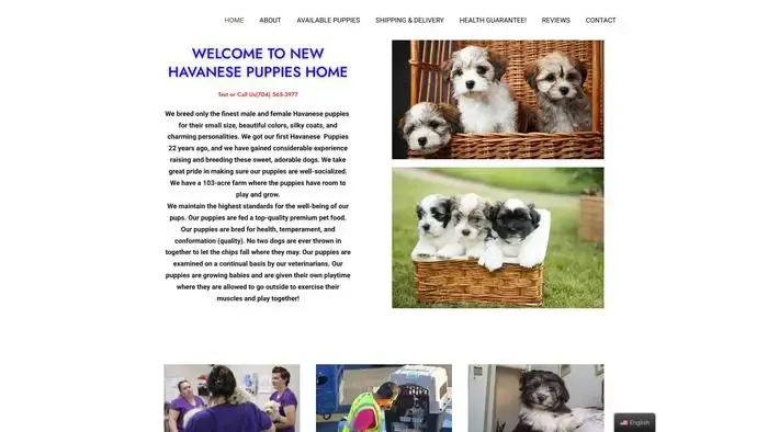 Screenshot of|