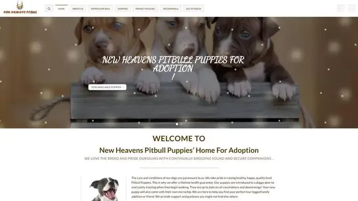 Screenshot of