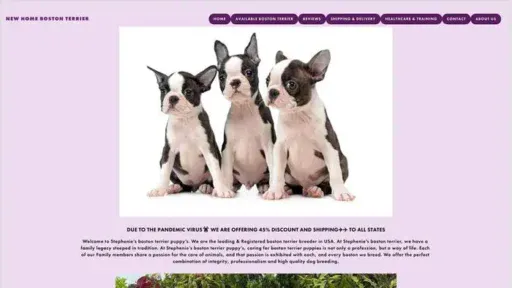 Screenshot of