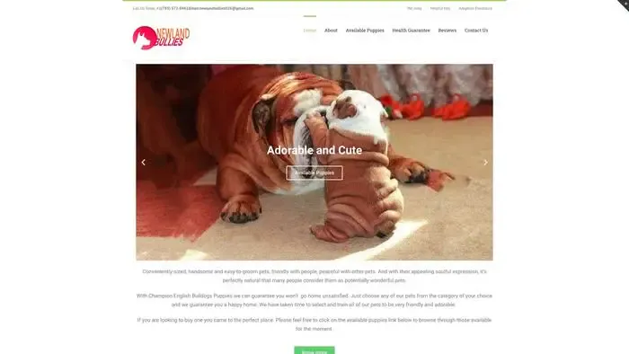 Screenshot of