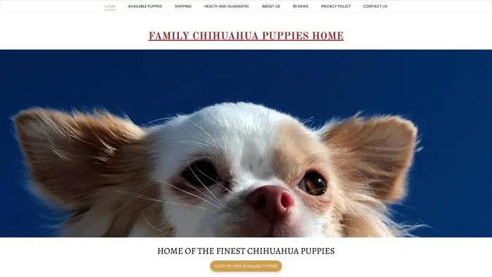 Screenshot of