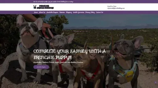Screenshot of||