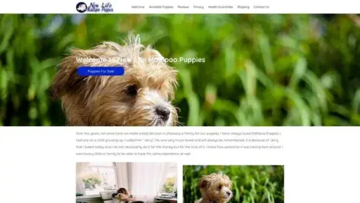 Screenshot of