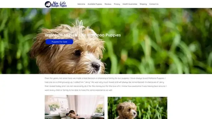 Screenshot of