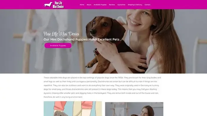 Screenshot of