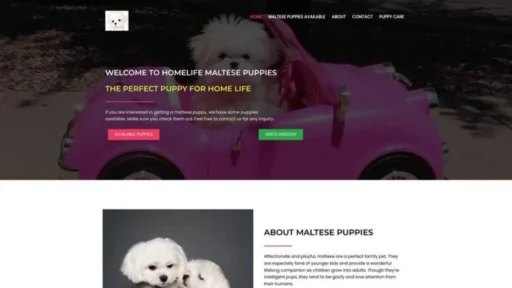 Screenshot of||