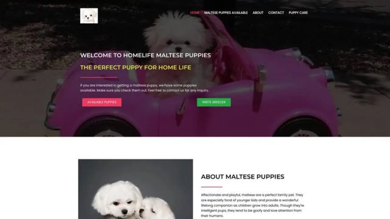 Screenshot of||