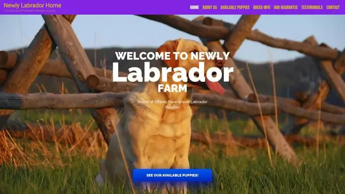 Screenshot of