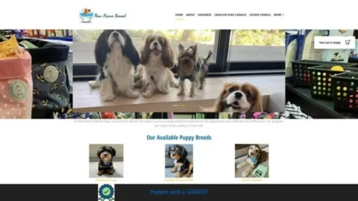 Screenshot of||