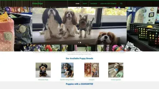 Screenshot of