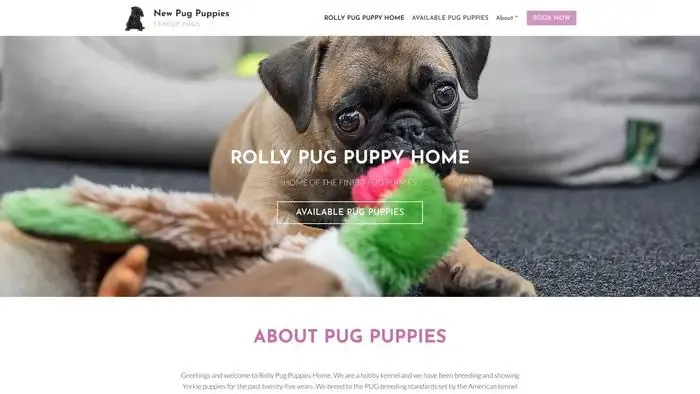 Screenshot of