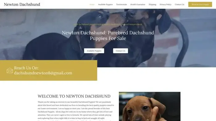 Screenshot of