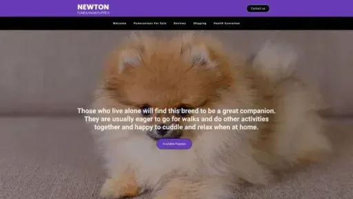 Screenshot of