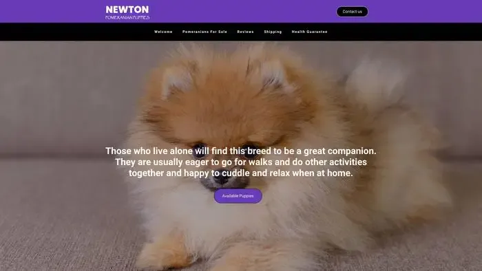 Screenshot of