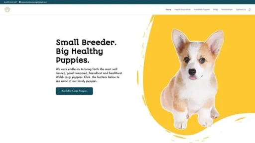 Screenshot of