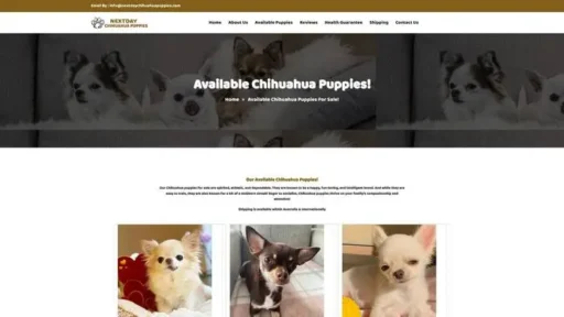 Screenshot of