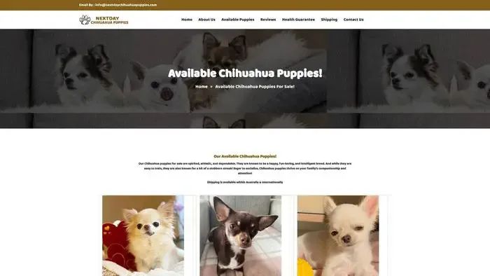 Screenshot of