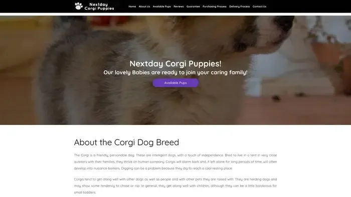 Screenshot of