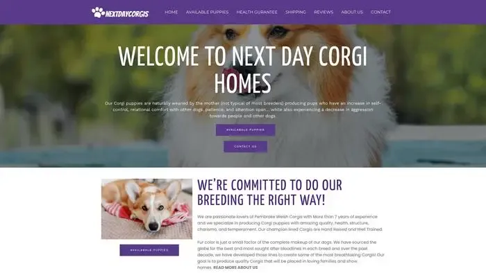 Screenshot of