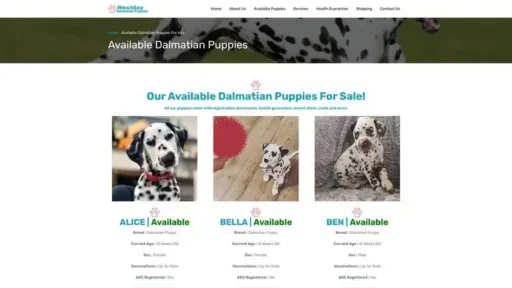 Screenshot of