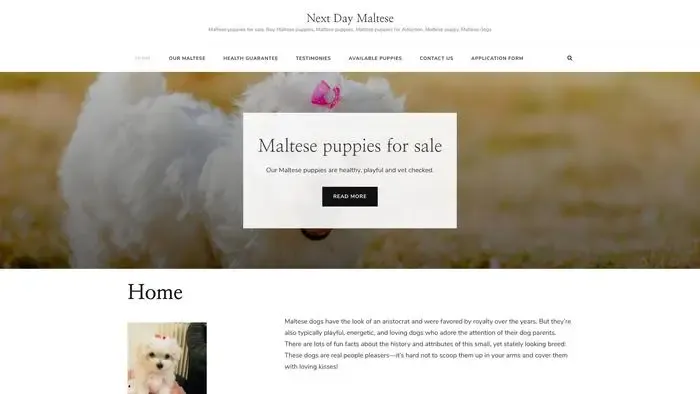 Screenshot of