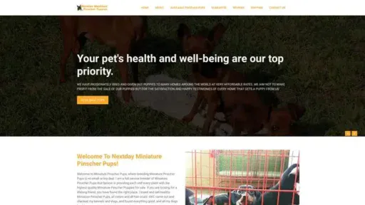 Screenshot of